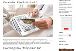 www.forbrukslan.blog